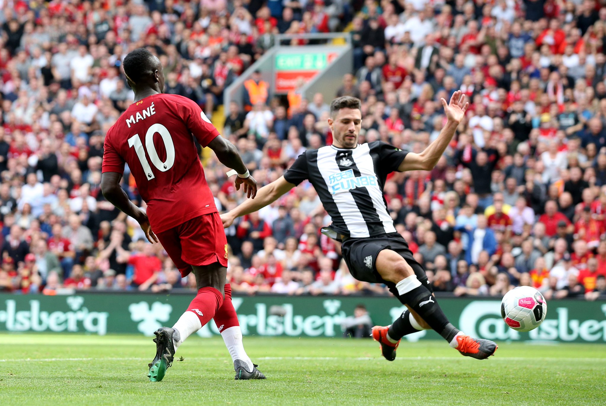 廷赢得美洲 廷赢得美洲